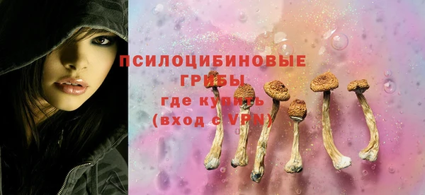 не бодяженный Бородино