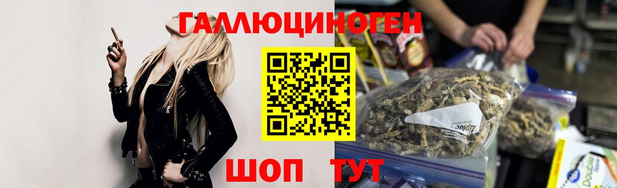 наркошоп  Вход с VPN  Жуковский  Псилоцибиновые грибы MAGIC MUSHROOMS 